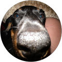 Will Heard profile picture